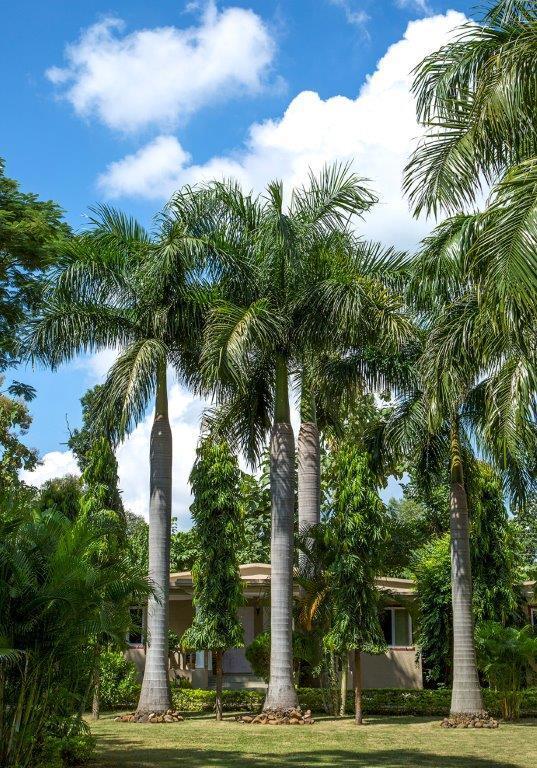 Tiger'S Den Resort Bandhavgarh National Park Exterior foto