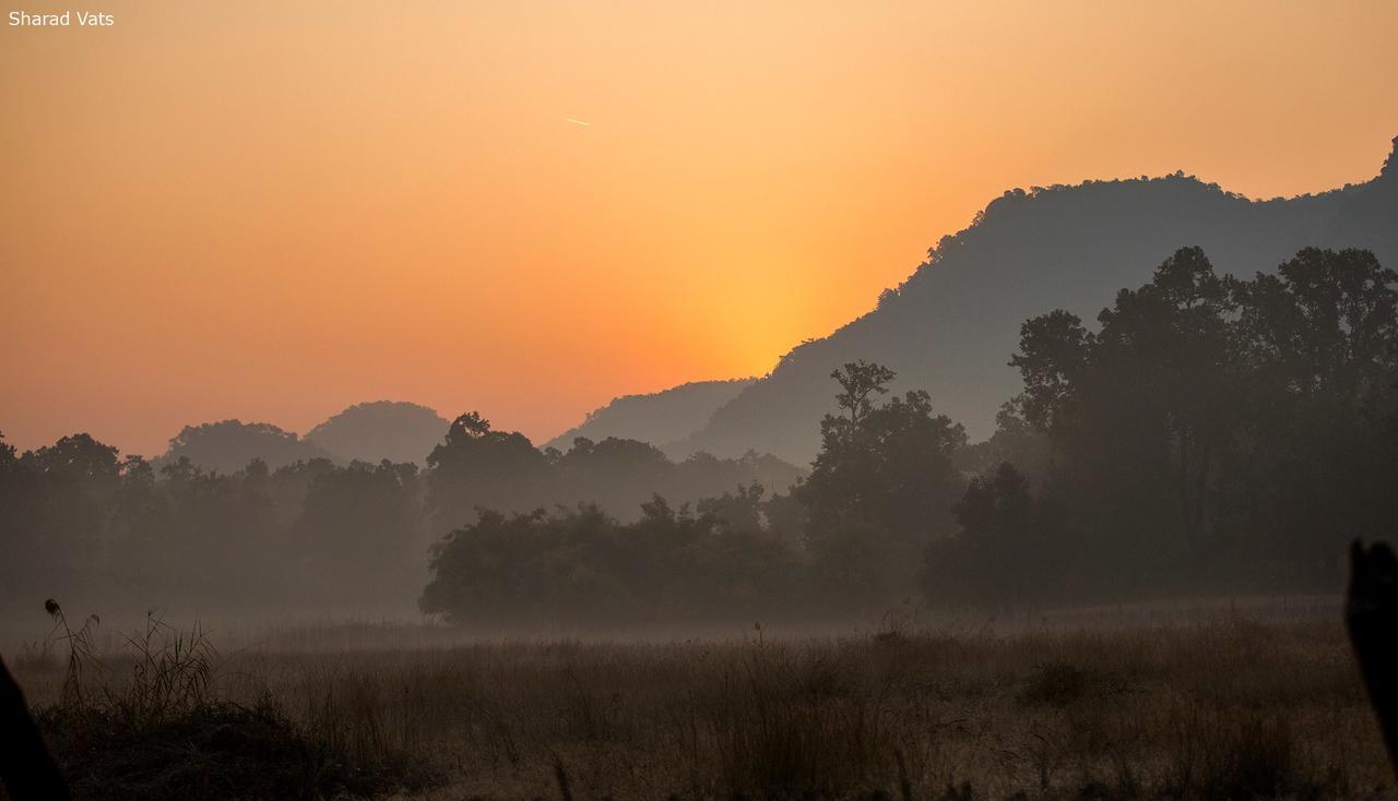 Tiger'S Den Resort Bandhavgarh National Park Exterior foto